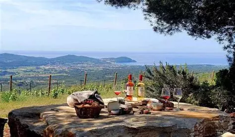 Domaine de La Bégude – Le Camp-du-Castellet — Soirée Sud Wine Club Jeudi 15 octobre 2026